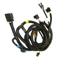 image - harness hood 2009