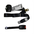 image - seat belt 3 point integrated
