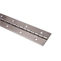 image - hinge steel x24"