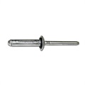 image - rivet bl petal oly