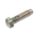 image - bolt - acorn head