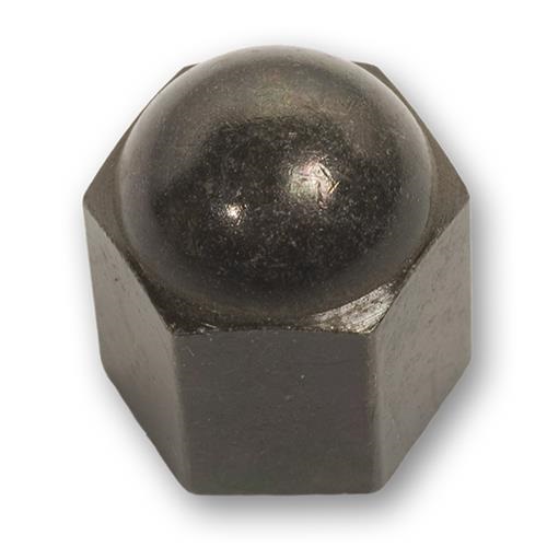 image - nut acorn